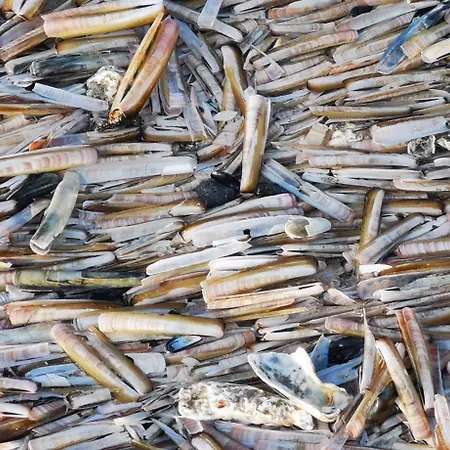 Апартаменты Greens 251 *