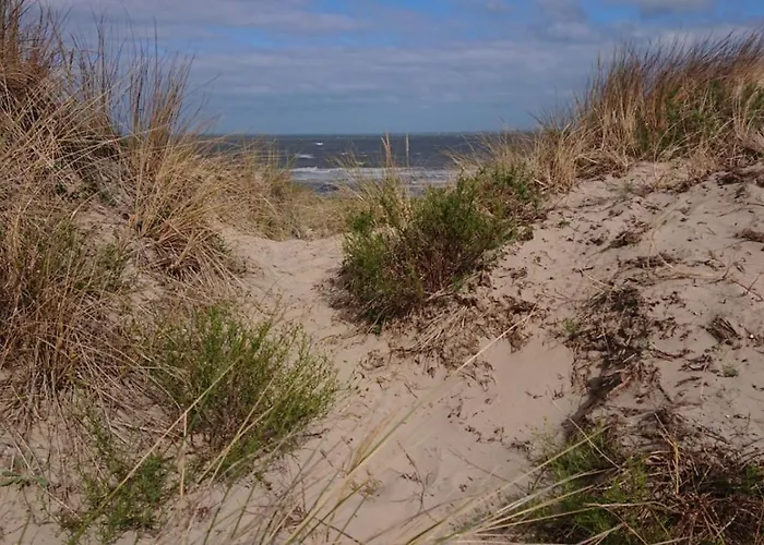 Lägenhet Greens 251 *